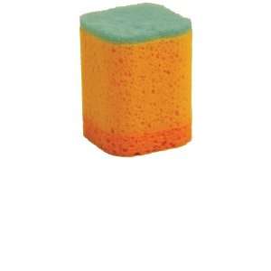  Casabella Cube Scrubber Sponge Blue / Orange Health 