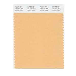  PANTONE SMART 13 1027X Color Swatch Card, Apricot Cream 