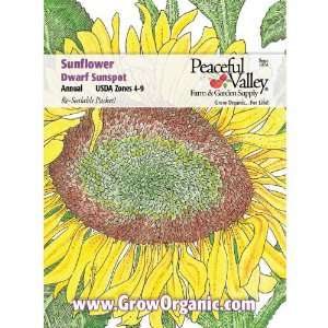  Sunflower Seed Pack, Dwarf Sunspot Patio, Lawn & Garden