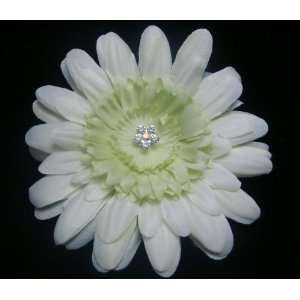    NEW LIght Green Gerber Daisy Hair Flower Clip, Limited. Beauty