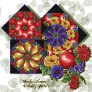   Holiday Glitters Kaleidoscope Quilt Block Kit Arts, Crafts & Sewing