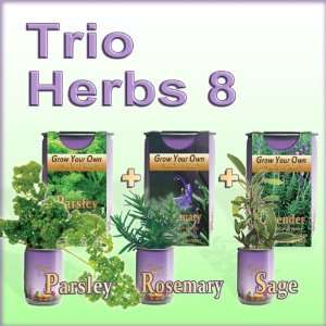   Herbs Garden included Rosemary, Sage and Parsley Patio, Lawn & Garden
