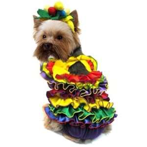  Halloween Calypso Queen Dog Costume: Toys & Games