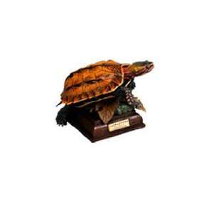  Miniature Figure   Ryukyu Leaf Turtle Toys & Games
