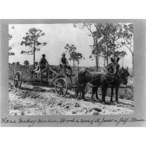 Road making machine,roads of St James on Gulf,Florida,FL,horse powered 