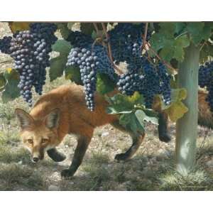   the Vines   Red Fox Artists Proof Canvas Giclee: Home & Kitchen