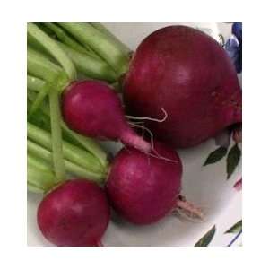     Purple Plum Radishes Organic Heirloom Seeds Patio, Lawn & Garden
