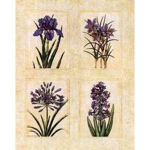  Antique Lavender I Poster Print