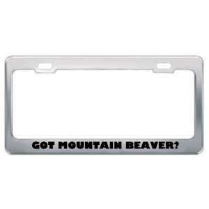 Got Mountain Beaver? Animals Pets Metal License Plate Frame Holder 