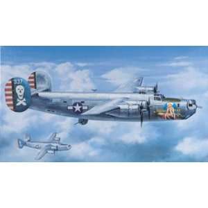   90BG The Jolly Rogers Limited Edition Airplane Model Kit: Toys & Games