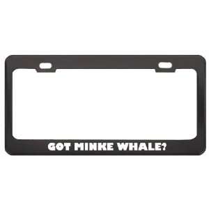 Got Minke Whale? Animals Pets Black Metal License Plate Frame Holder 