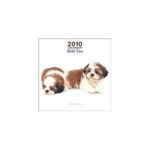   DOG Artlist 2010 Mini SHIH TZU Wall Calendar 6 x 6: Office Products