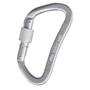  Silver locking D Carabiner: Sports & Outdoors