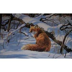  Rosemary Millette   Winter Watch Red Fox