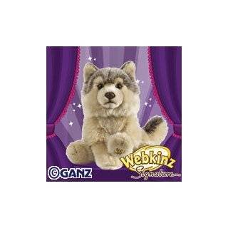    Webkinz Ganz Signature Cheetah Plush Stuffed Animal: Toys & Games
