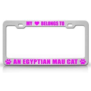 MY HEART BELONGS TO AN EGYPTIAN MAU Cat Pet Auto License Plate Frame 