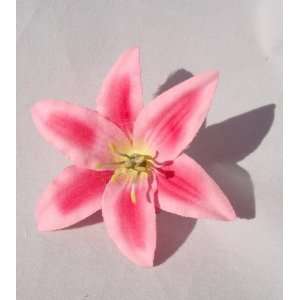  Small Light Pink Lily Hair Flower Clip: Beauty