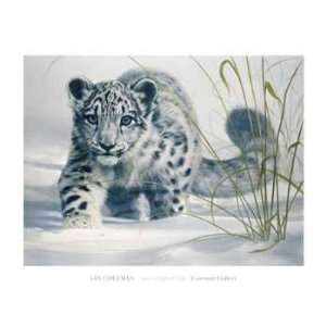  Snow Leopard Cub Poster Print