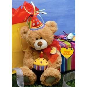   Special Day Birthday Teddy Bear Plush Stuffed Animal: Toys & Games