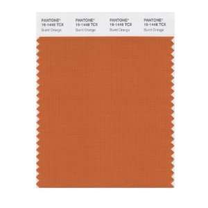   SMART 16 1448X Color Swatch Card, Burnt Orange: Home Improvement