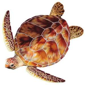  Aqua Decal Loggerhead Turtle Group: Sports & Outdoors