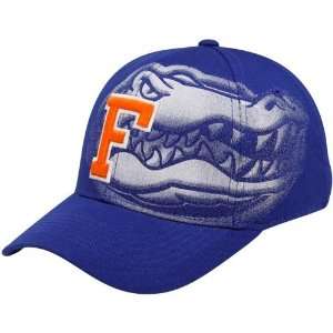  Top of the World Florida Gators Royal Blue In the Shadow 1 