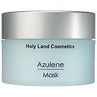 HOLY LAND Azulene Mask for sensitive and Reddish Skin (250ml)