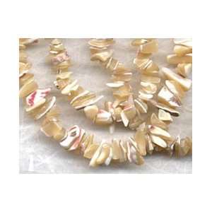  Mother of Pearl, Natural Color, Mini chips Arts, Crafts 