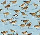 sandy shores sand pipers shore birds on blue fabric fat