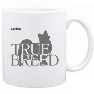    New  Papillon  The True Breed  Mug Dog: Home & Kitchen