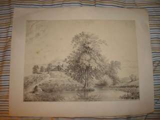 HUGE 1850 ANTIQUE TREE LANDSCAPE LITHOGRAPH PRINT FineN  