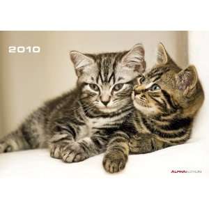  Cats 2010 Oversized Calendar X303 (9783867593038) Alpha 