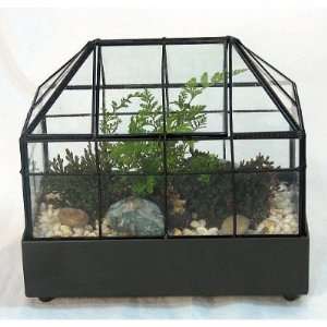  Long Gothic House Terrarium (Wardian Case) with Access 