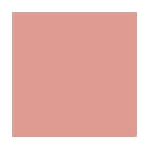  Lee 187 Cosmetic Rouge Diffusion Gel Filter Sheet 21 x 24 