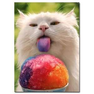  Cat and Snowcone Belated Birthday Card: Health & Personal 
