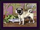 vintage english picture print pug dog puppy art 