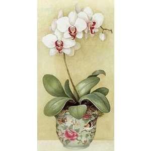  Exotic Orchids I Poster Print