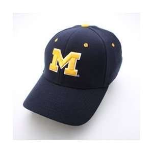  Michigan Wolverines Logo Flex Fit Hat (Navy) Sports 