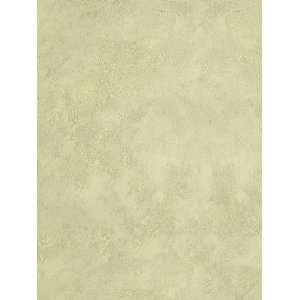  Wallpaper Steves Color Collection   Green BC1581741: Home 