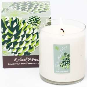    Soap and Paper Factory Soy Candle, Roland Pine