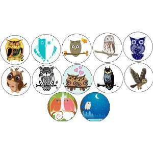    Set of 12 OWL 1.25 MAGNETS ~ Owls Nocturnal Hoot 