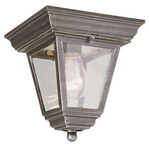   Trans Globe 4903 WH Outdoor Close to Ceiling Light