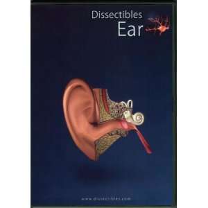 Dissectibles Ear CD ROM Toys & Games