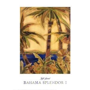  Bahama Splendor I Finest LAMINATED Print Jeff Surret 19x27 