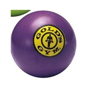  Purple   Golds Gym Rubber Balls Dog Toys: Pet Supplies
