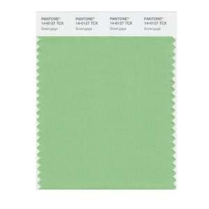  PANTONE SMART 14 0127X Color Swatch Card, Greengage: Home 