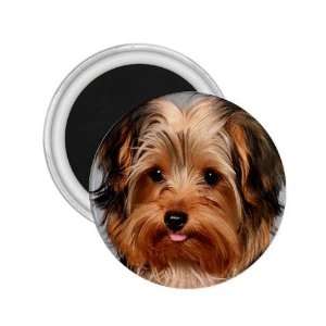  Yorkshire Terrier Puppy Dog 10 2.25in Magnet R0656 