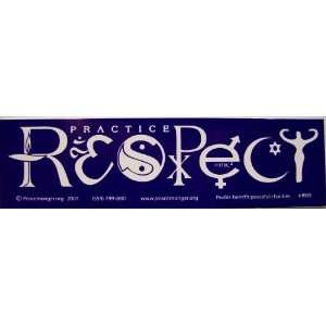   Snowboard Racing Liberal Peace Bumper Stickers Art Decals Everything