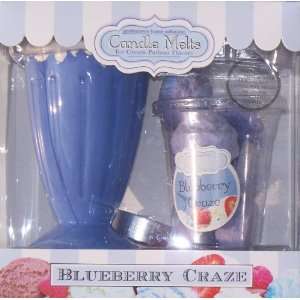  Scented Ice Cream Parlour Flavored Blueberry Craze Candle 
