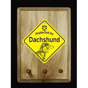  Short Hair Dachshund Dog Protected By Sign Key/Leash 